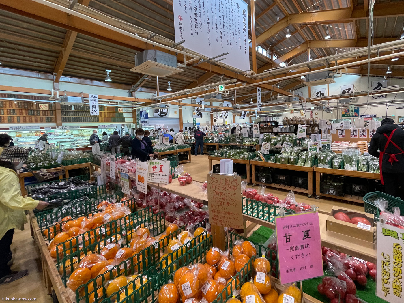  Itoshima Market Itosaisai, 糸島の直売所、産直マーケット伊都菜彩