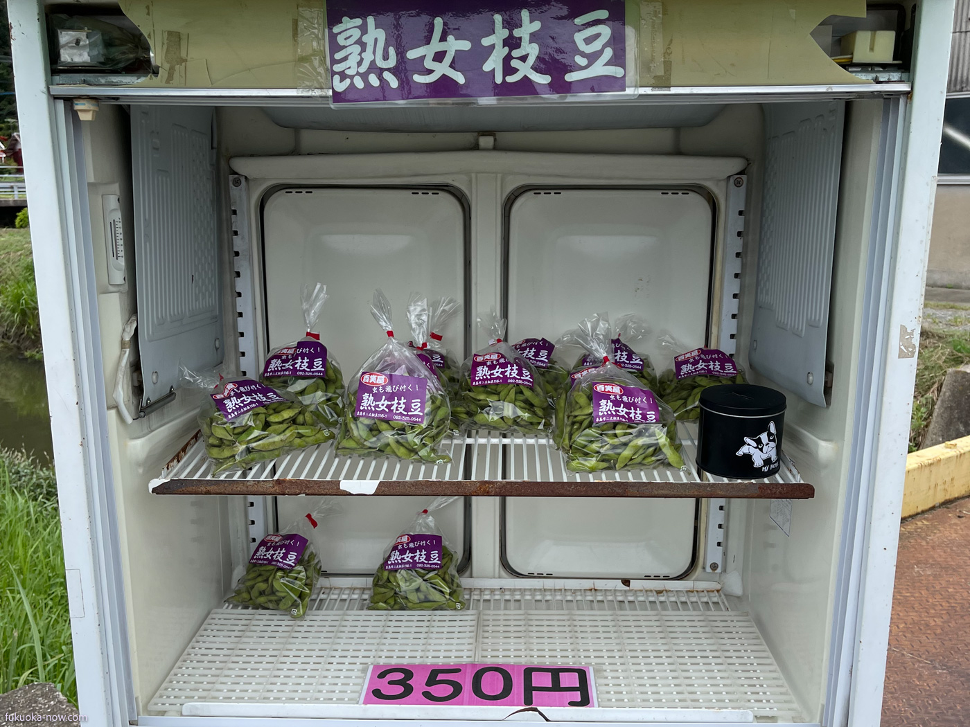 Itoshima self-serve honor-system edamame shop, famers shop, 糸島の農家直売「熟女枝豆」