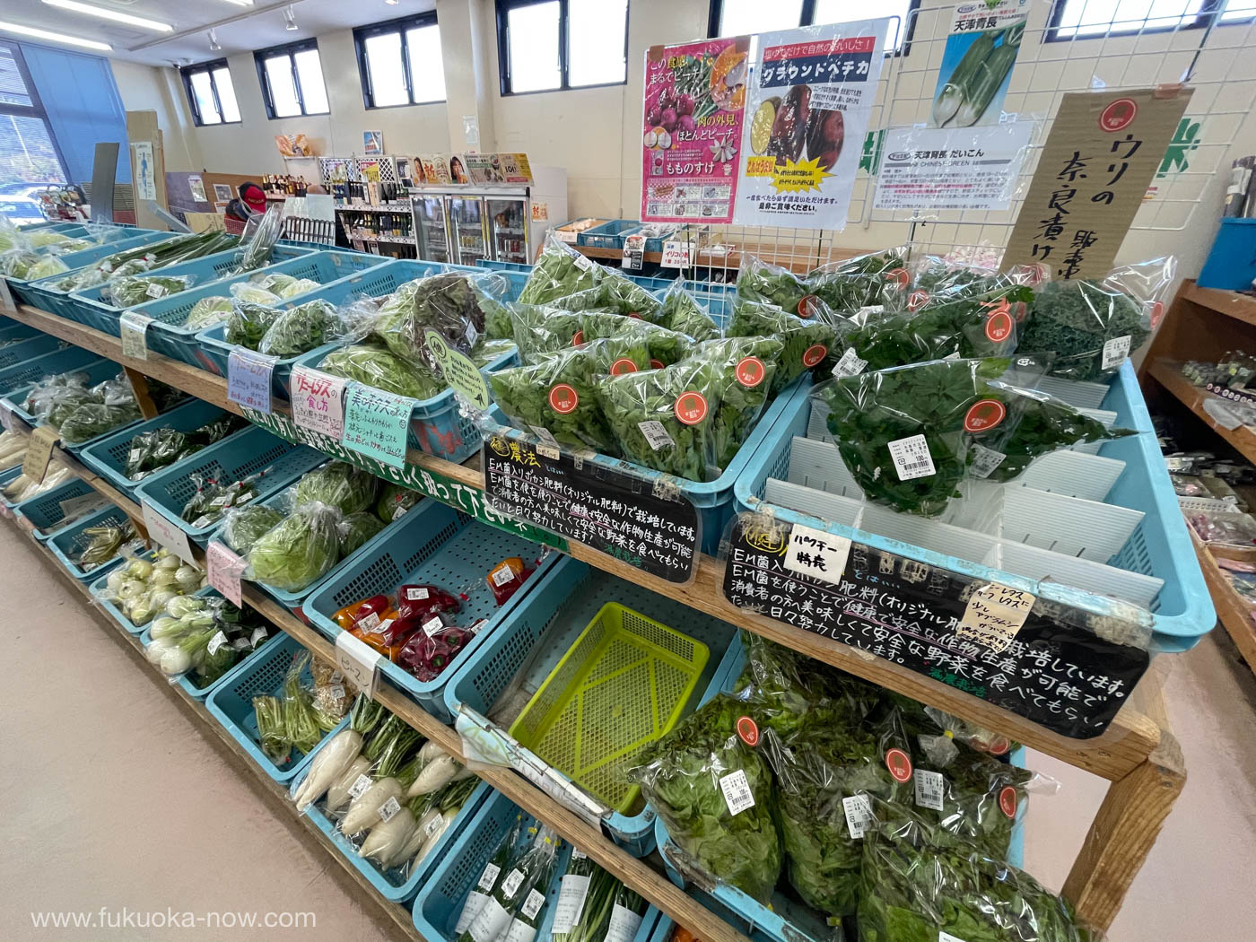 Itoshima market, Shimanoshiki, 糸島の直売所、志摩の四季