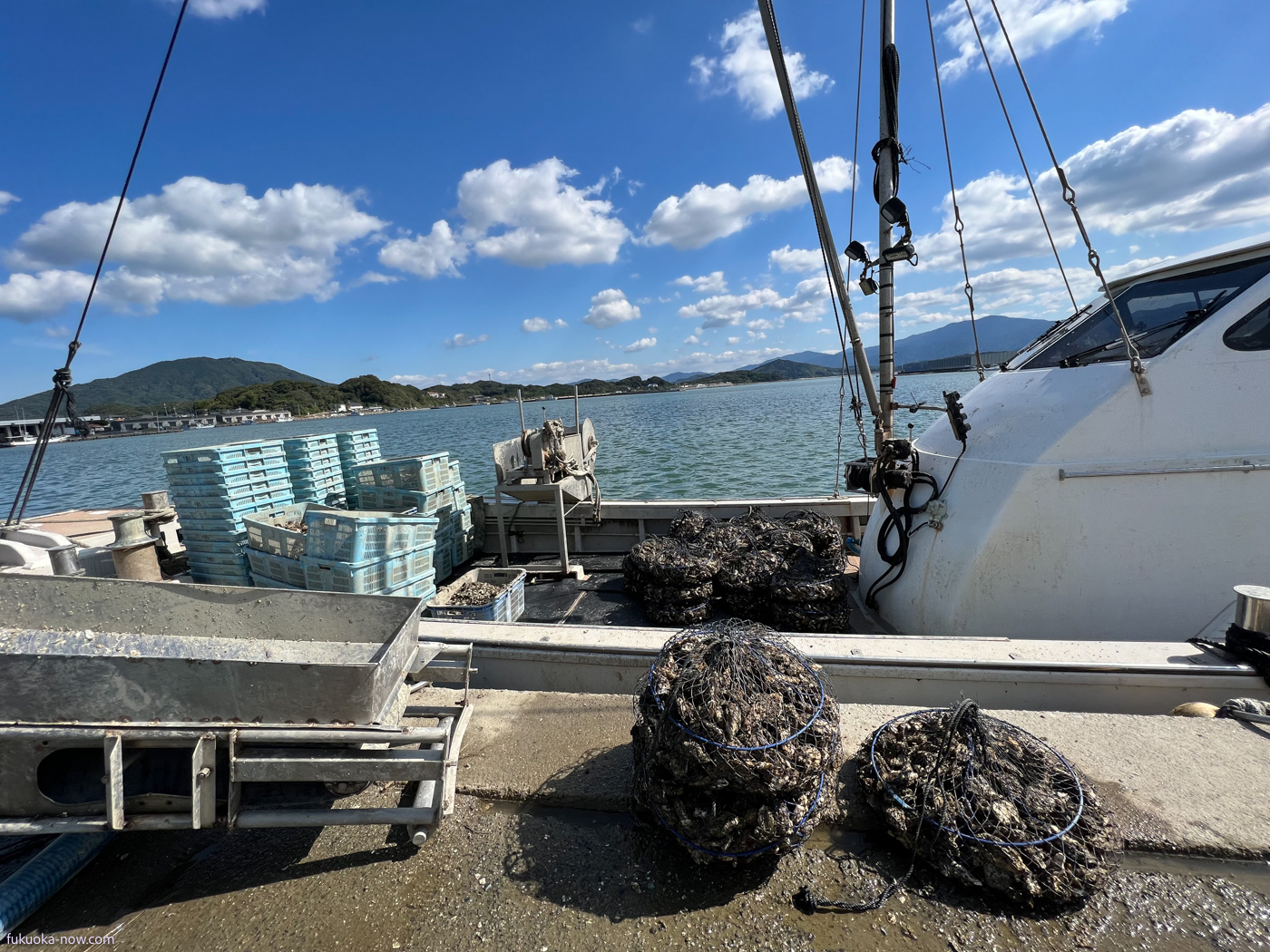 Oyster farming in Itoshima, 糸島の牡蠣養殖
