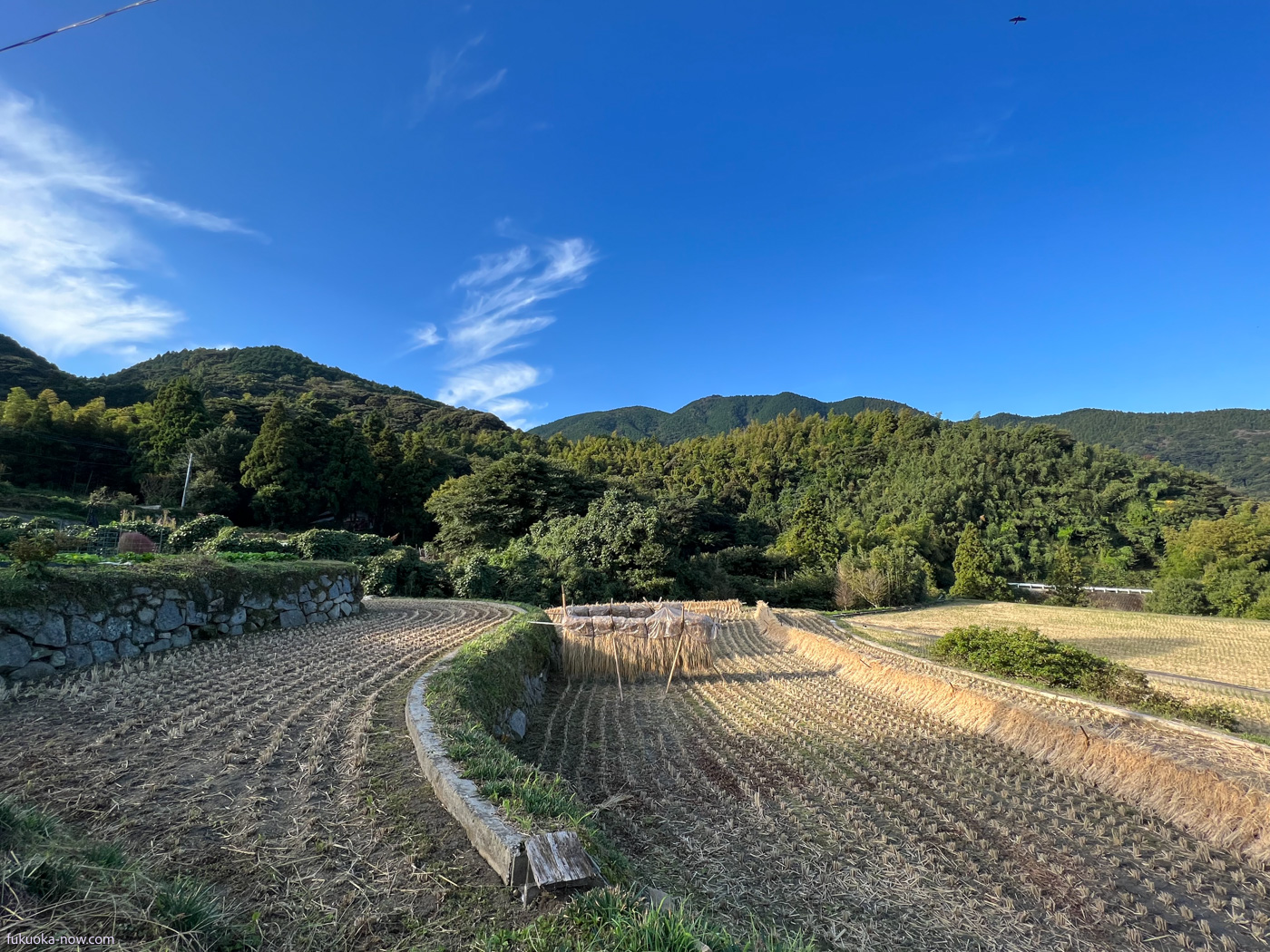 Field in Itoshima, 糸島の田園風景