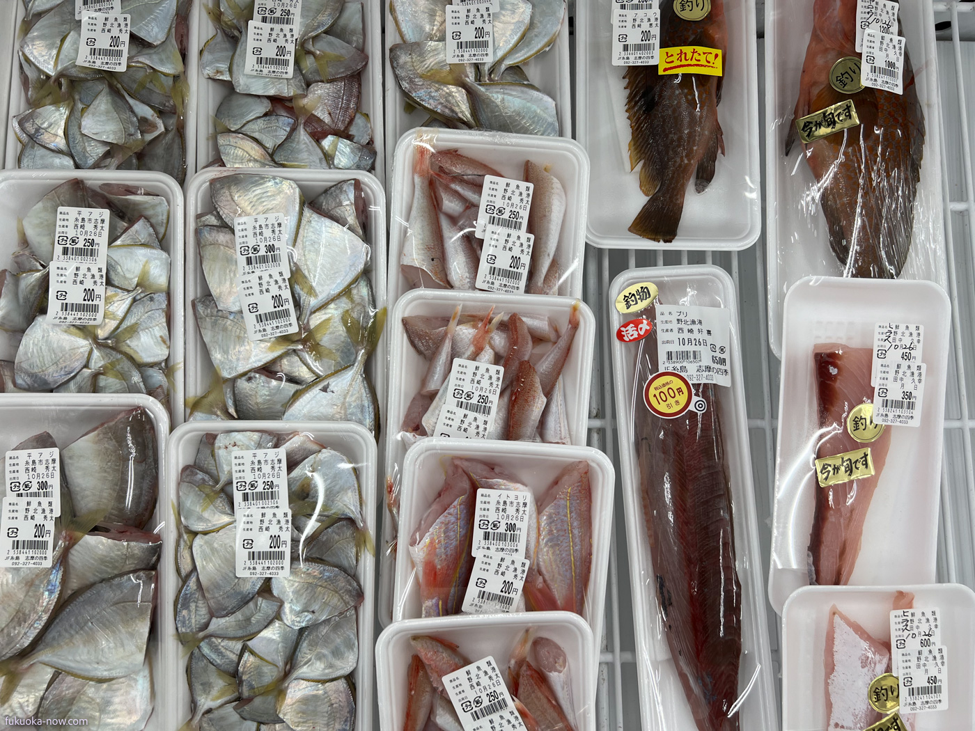 Itoshima local fishes in Shimanoshiki, 志摩の四季で販売される糸島の地魚