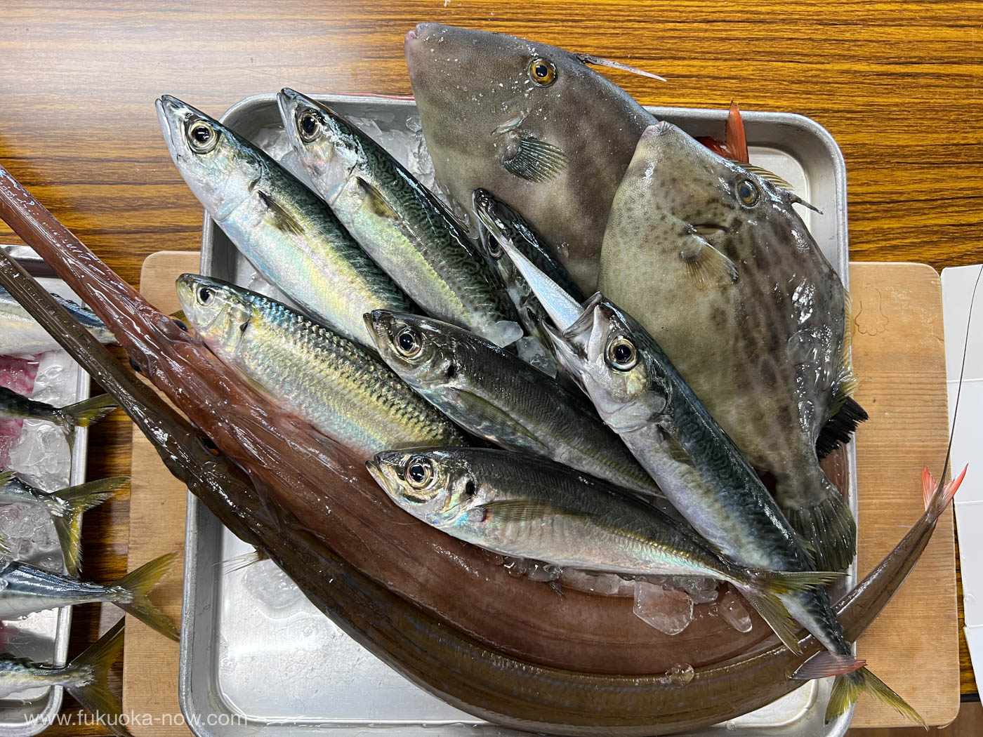 Itoshima local fish, 糸島の姫島で獲れた地魚。口が長くて赤い魚はヤガラ