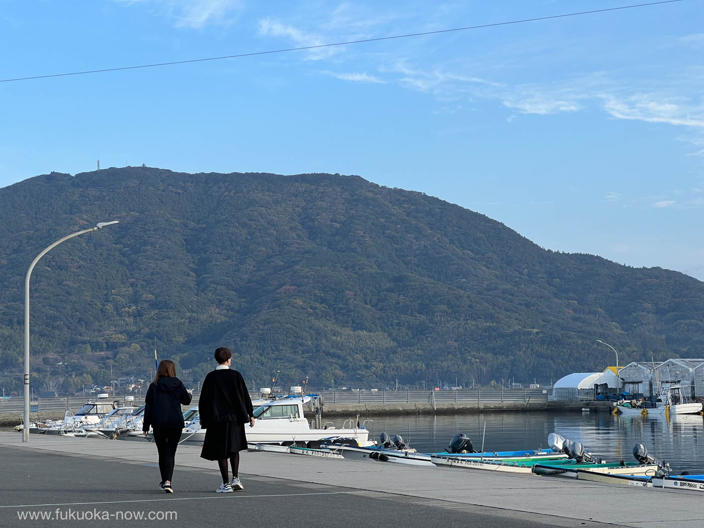 Morning walk around Itoshima fishing port 糸島の加布里漁港を散歩