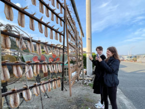 Making sun-dried fish, 魚を干している干物作りの棚