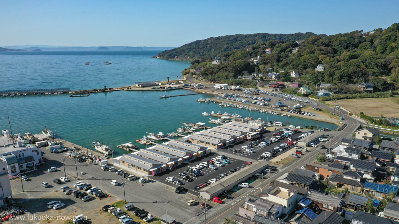 Kishi fish port in Itoshima, 糸島の岐志漁港