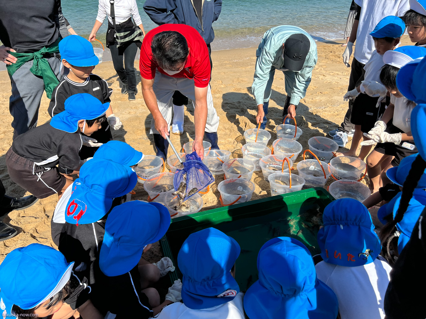 Release of fry at Keya Beach in Itoshima / JF糸島が芥屋ビーチで幼児と一緒に稚魚放流