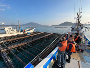 Jizakana Bank Uotabi Tour Itoshima Oyster farm / 地魚BANK うお旅 糸島の牡蠣棚