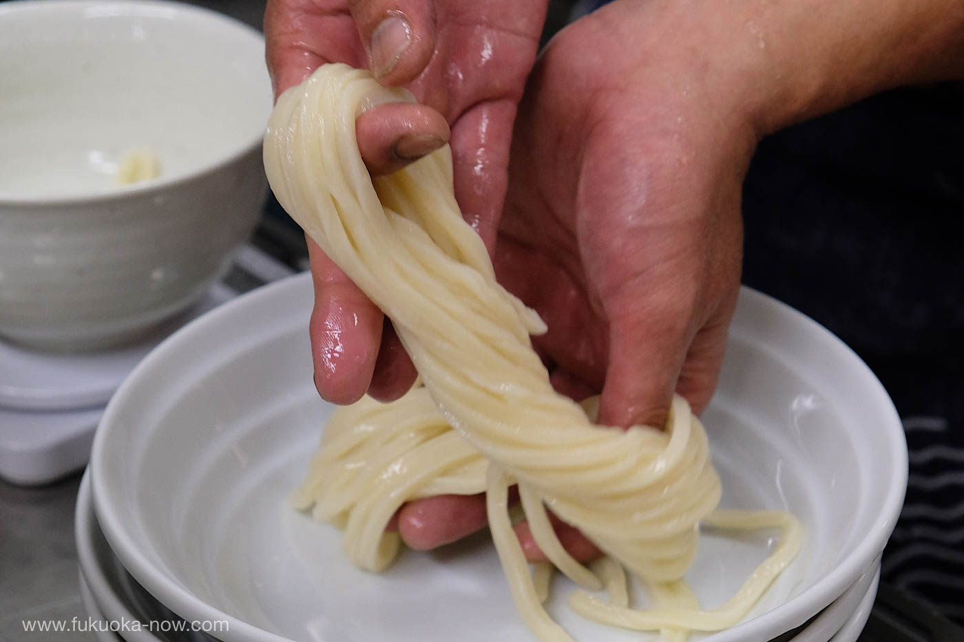 Itoshima Shiraito Udon Yasuji - Fresh noodles made from Japanese wheat with a firm texture, 糸島白糸うどんやすじの、国産小麦を使ったコシがある生麺
