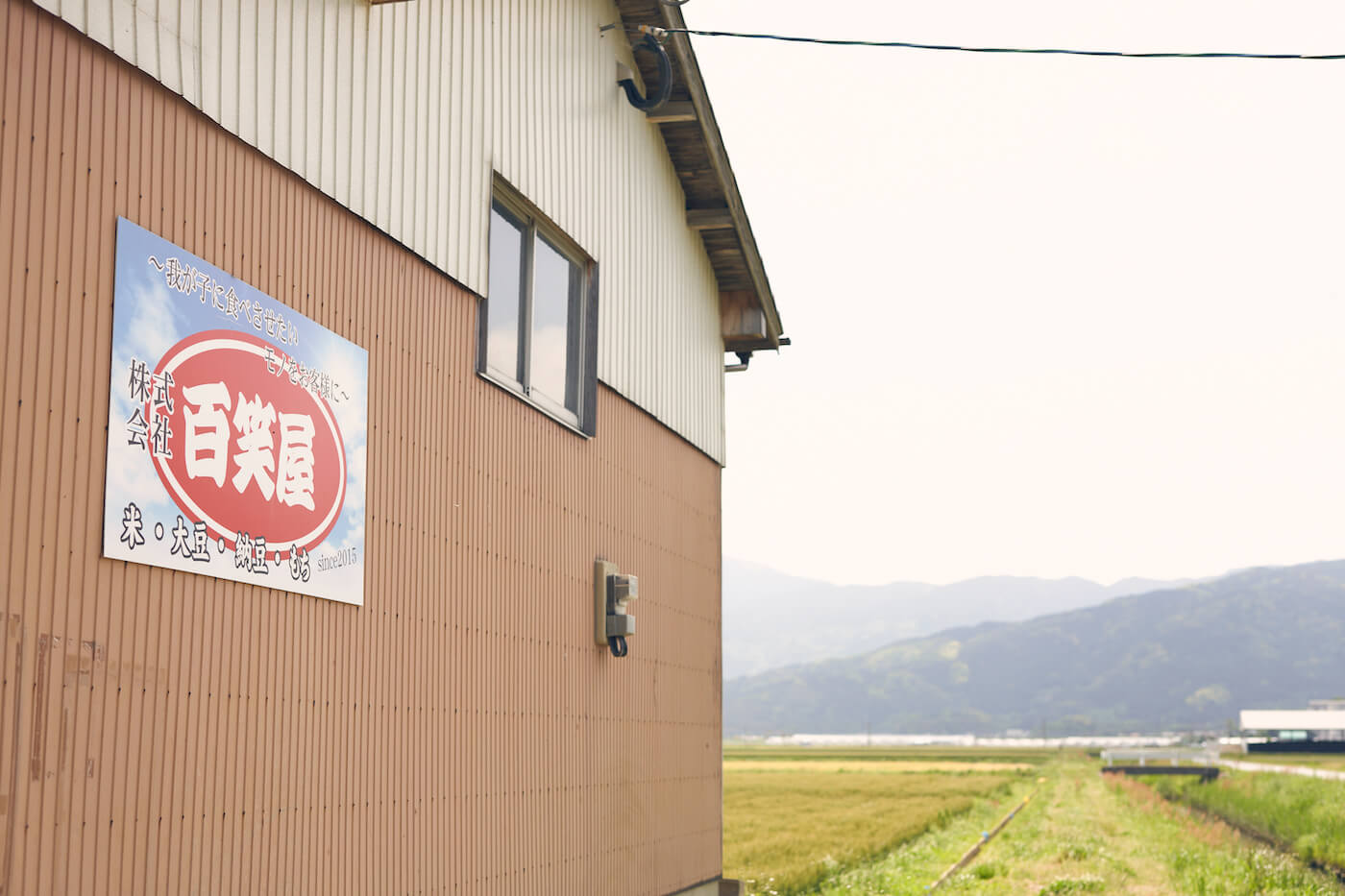 Cultivating the Future: Haruhisa Matsuzaki on Farming, Family, and Sustainability / 松﨑治久 - 糸島の農を生かす挑戦者