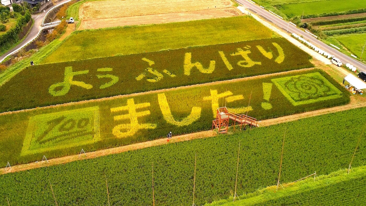 Nijo Rice Field Art, 二丈赤米田んぼアート