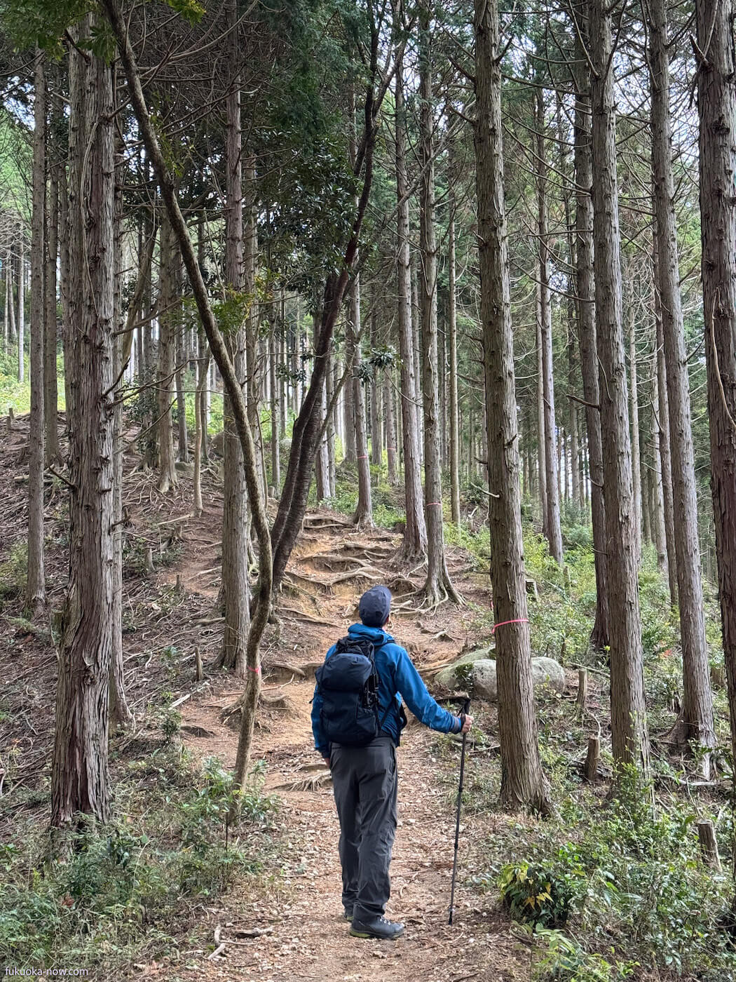 Itoshima's Best Hikes: Trails for Every Climber, 糸島の山を歩いて絶景を見にいこう
