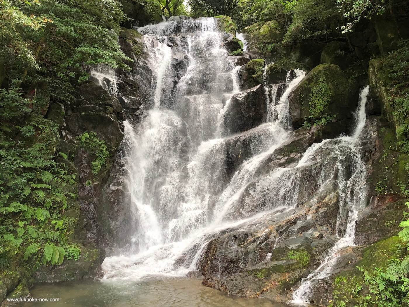 Shiraito Water Falls, 白糸の滝