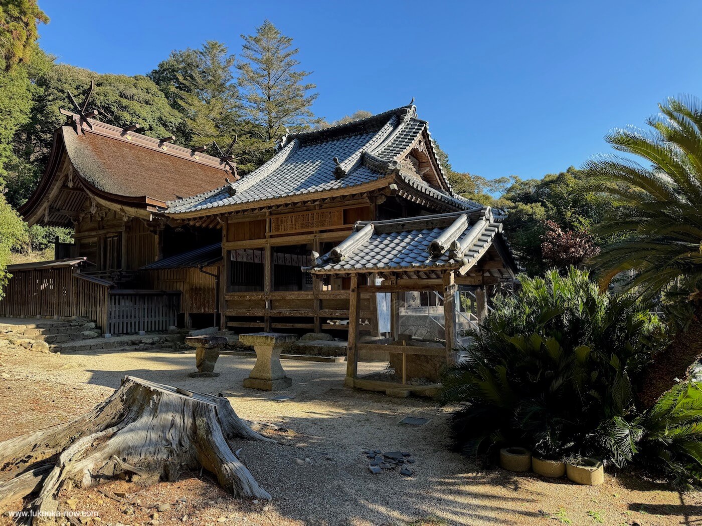 Takasu Shrine, 髙祖神社