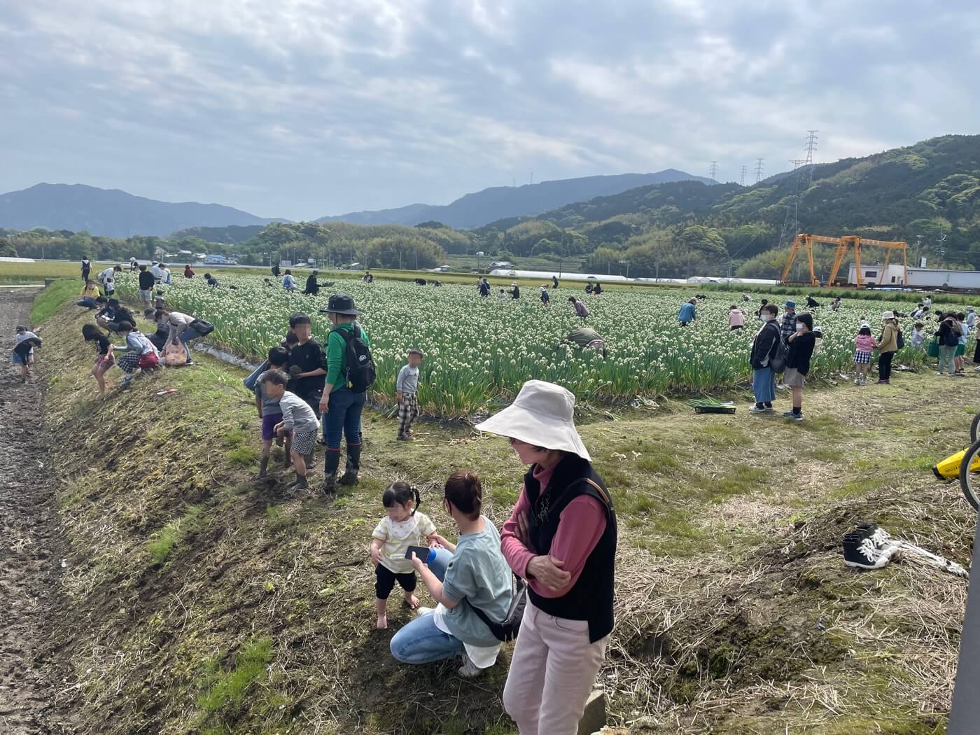 4th Itoshima Negi Festival: Celebration of Itoshima Green Onions, 糸島ねぎフェス
